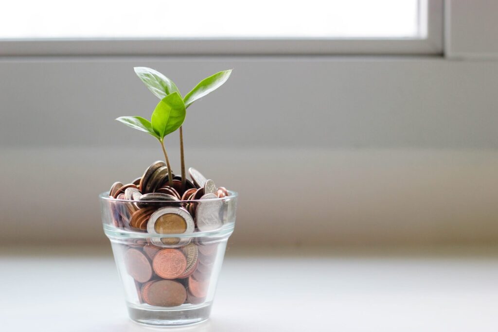 Plant in a jar full of coins