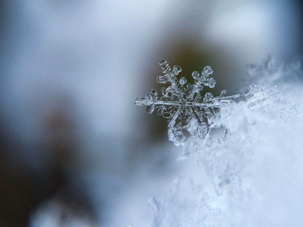 Snowflake from up close