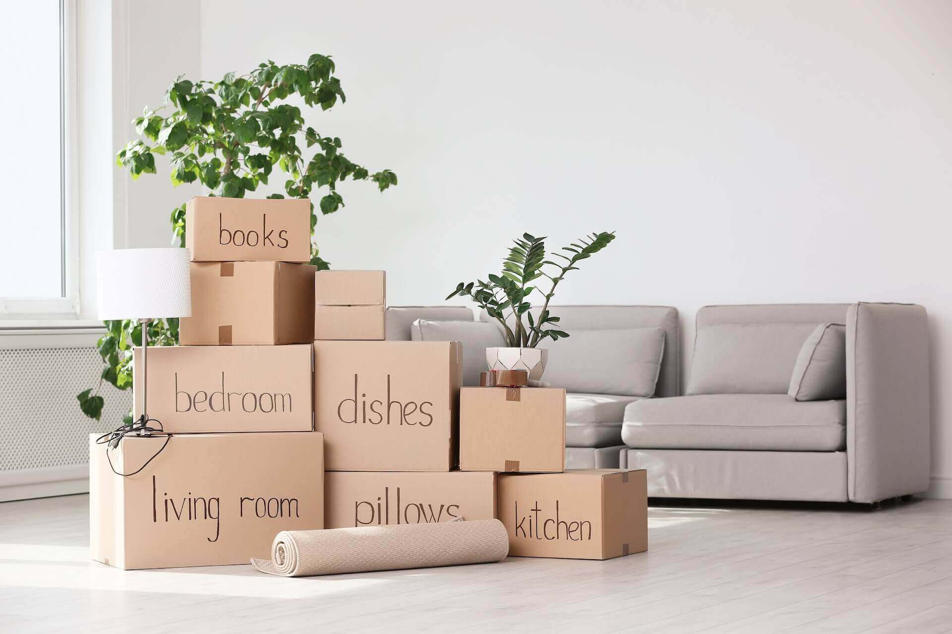 Labeled boxes for moving overseas, plants, and a sofa in the living room